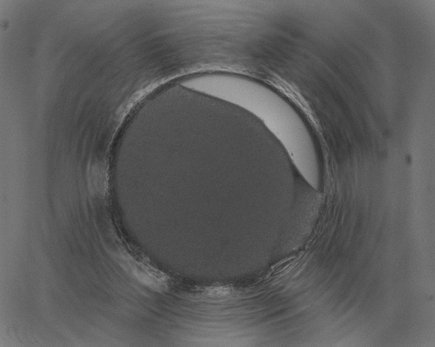 X0000065260204200603031837