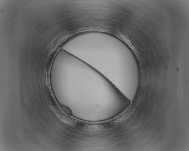 X0000065260205200603031837