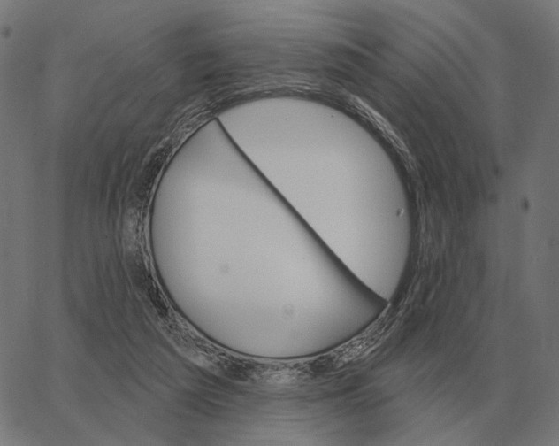 X0000065260209200603031837