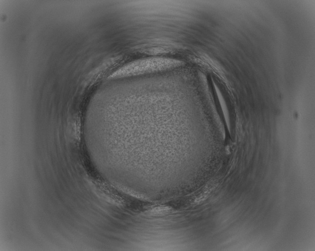 X0000065260210200603031837