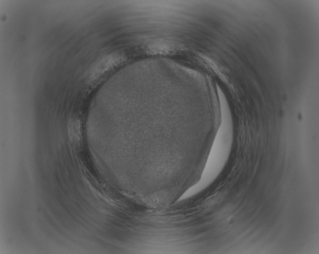 X0000065260211200603031837