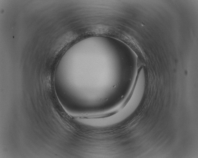 X0000065260212200603031837