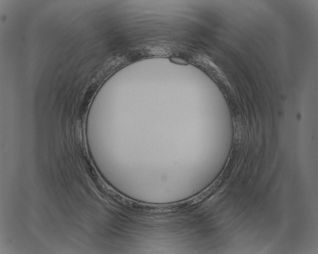 X0000065260213200603031837