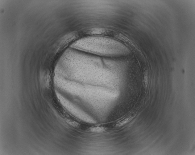 X0000065260216200603031837