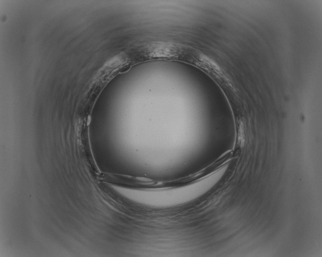 X0000065260217200603031837