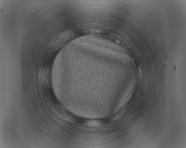 X0000065260218200603031837