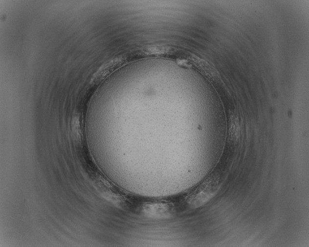 X0000065260220200603031837