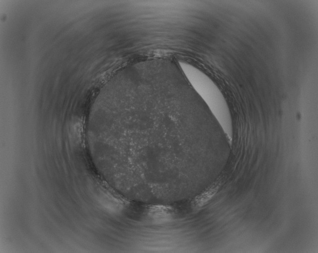 X0000065260222200603031837