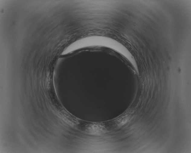 X0000065260223200603031837