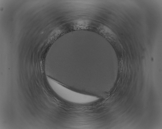 X0000065260224200603031837