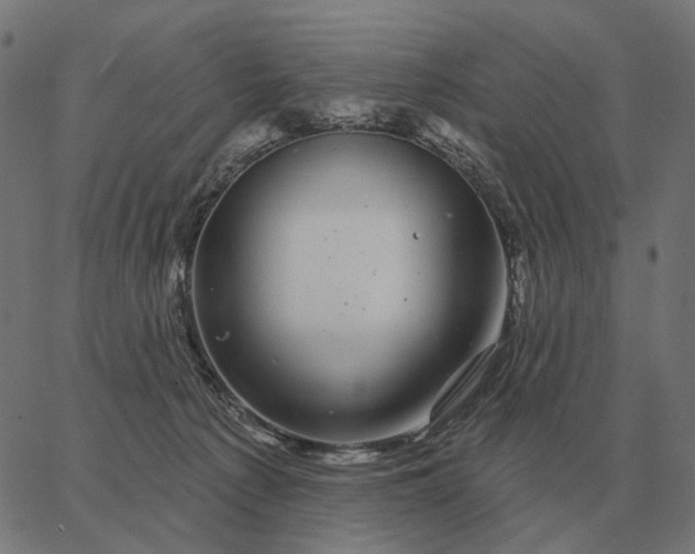 X0000065260225200603031837