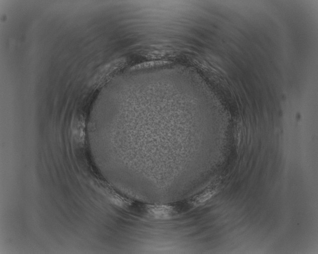 X0000065260226200603031837