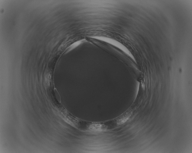 X0000065260227200603031837