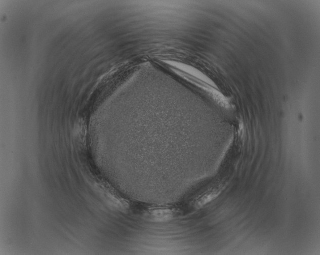 X0000065260228200603031837