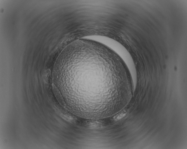 X0000065260229200603031837