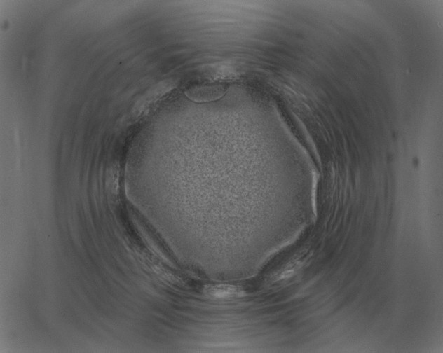 X0000065260230200603031836