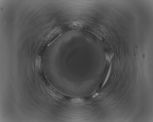 X0000065260231200603031836