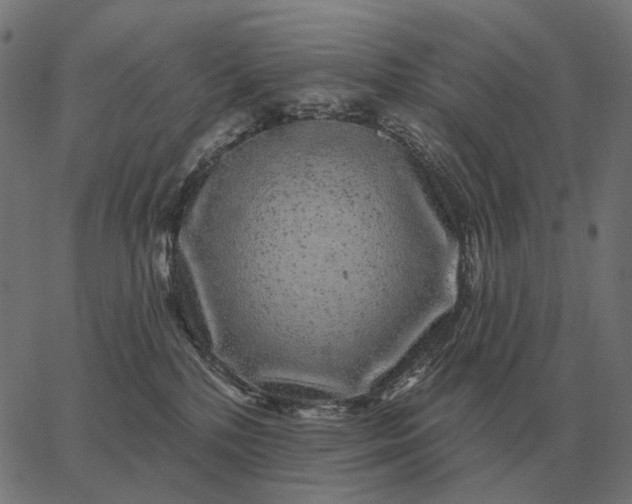 X0000065260232200603031836