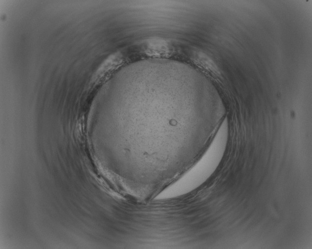 X0000065260233200603031836