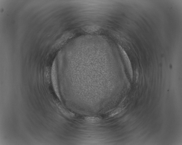 X0000065260234200603031836