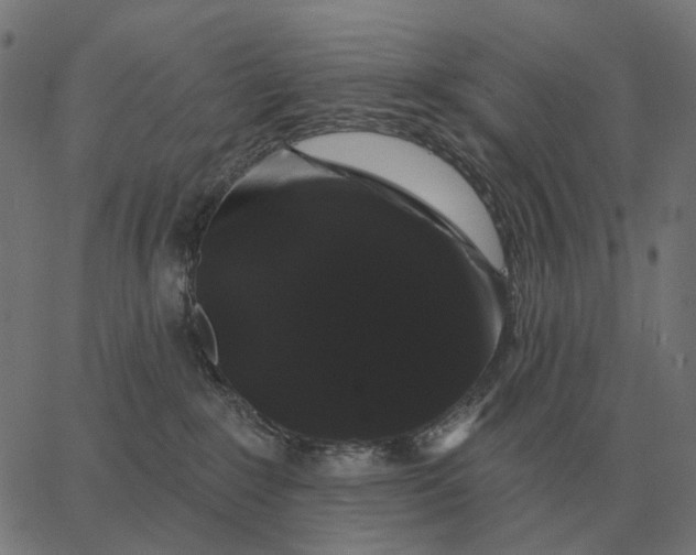 X0000065260235200603031836