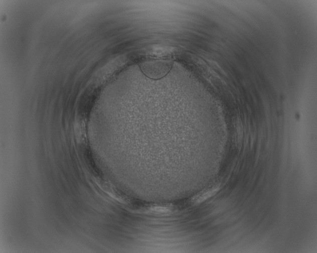 X0000065260236200603031836