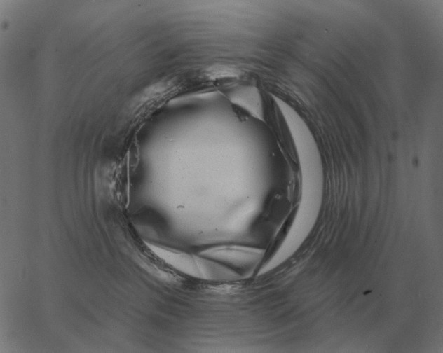 X0000065260237200603031836