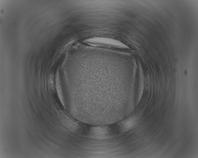 X0000065260238200603031836