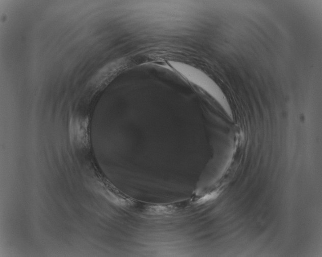 X0000065260239200603031836