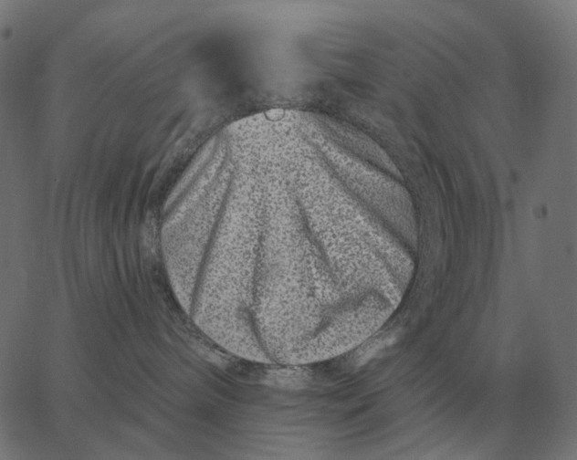 X0000065260240200603031836