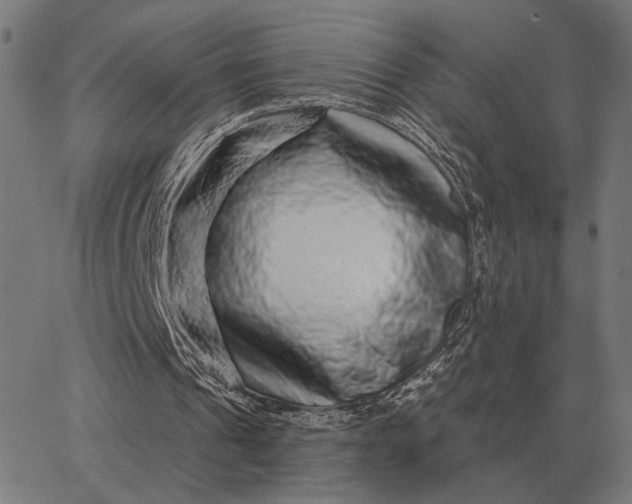 X0000065260241200603031836