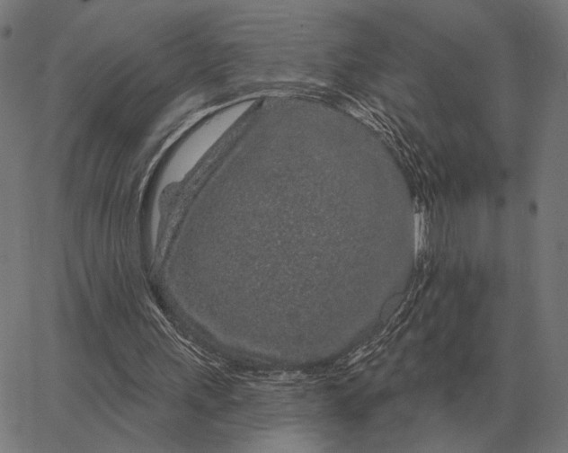 X0000065260243200603031836