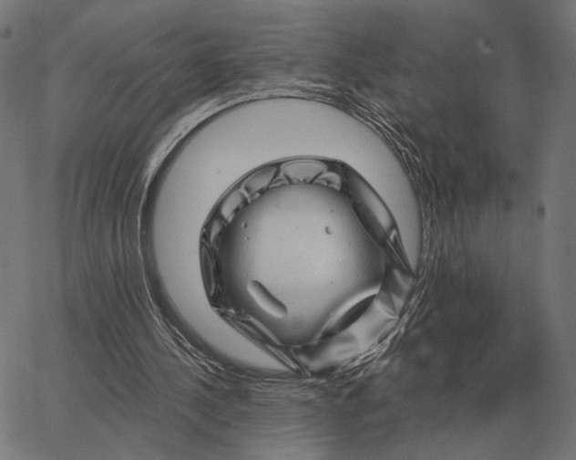 X0000065260244200603031836