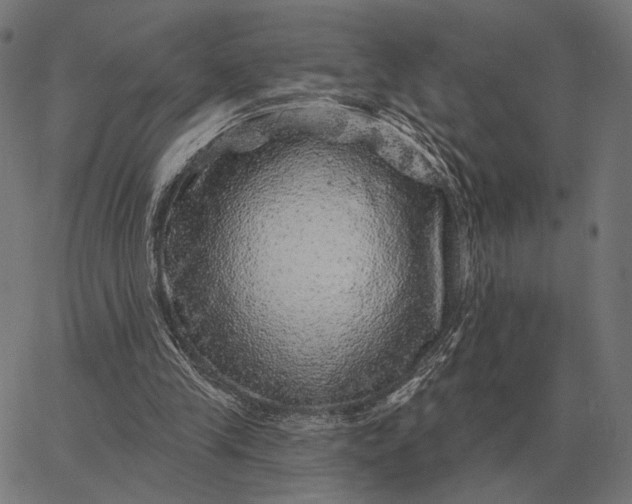 X0000065260245200603031836