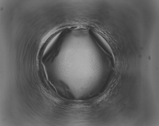 X0000065260246200603031836