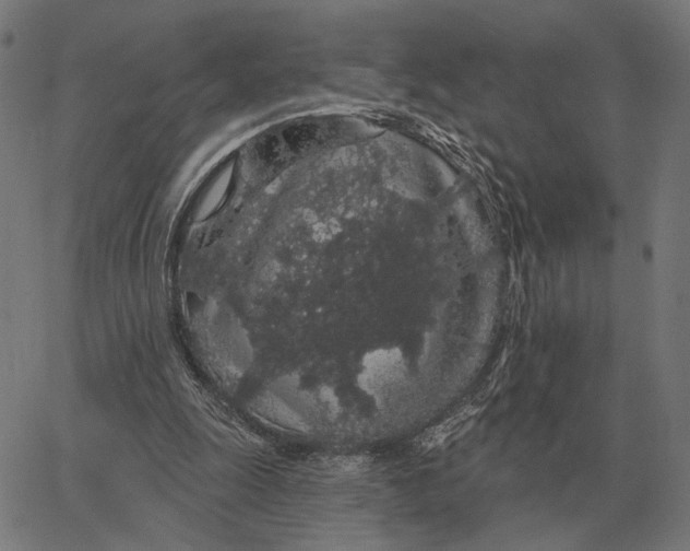 X0000065260247200603031836