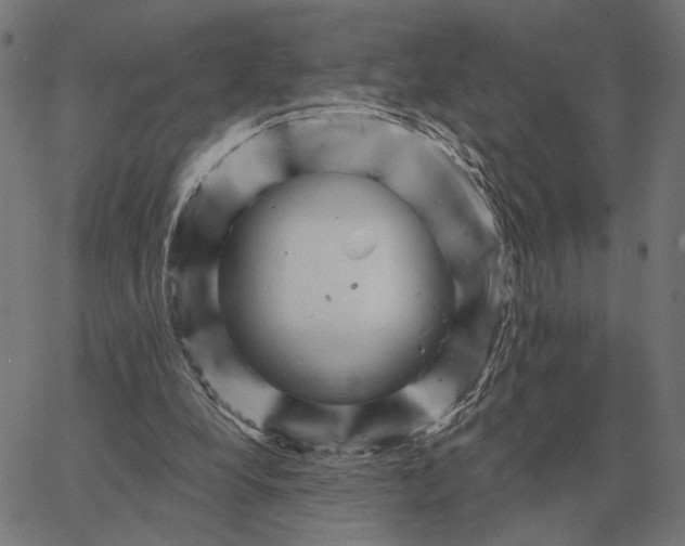 X0000065260248200603031836