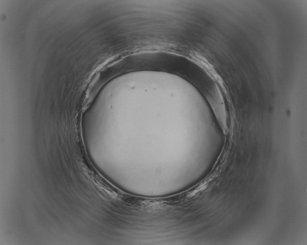 X0000065260249200603031836