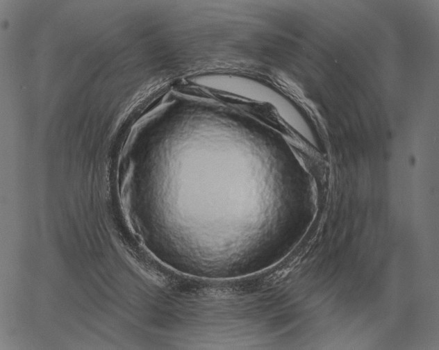 X0000065260250200603031836