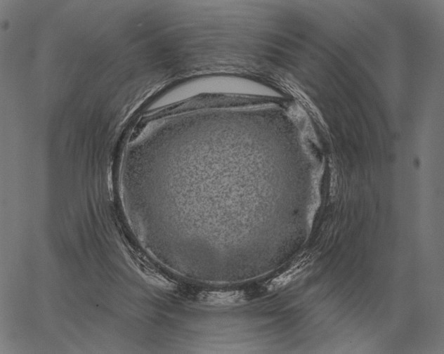 X0000065260251200603031836