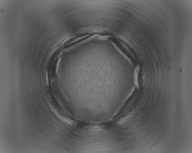 X0000065260254200603031836