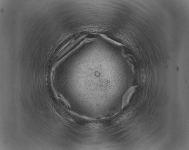 X0000065260255200603031836