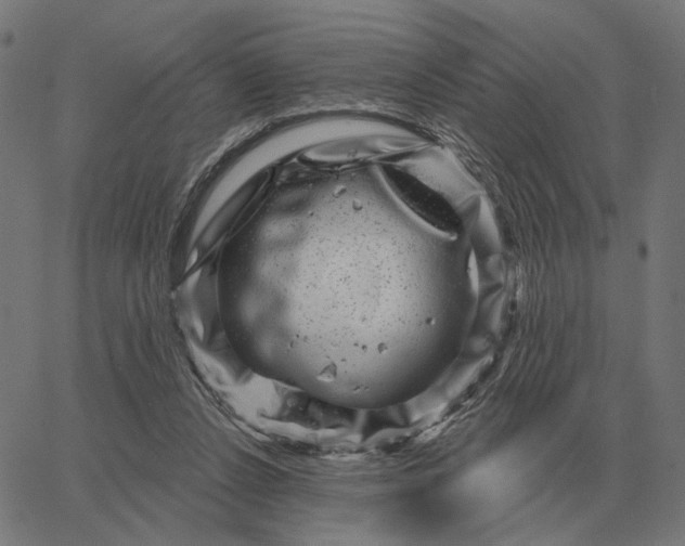 X0000065260256200603031836