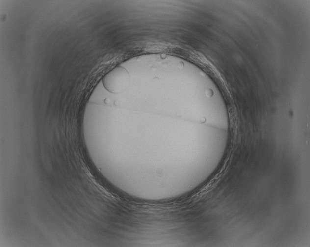 X0000065260257200603031836