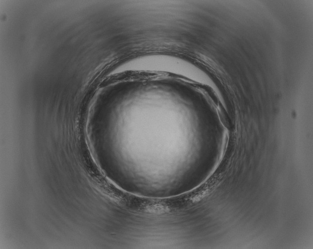 X0000065260258200603031836