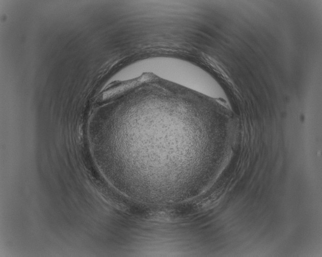 X0000065260259200603031836