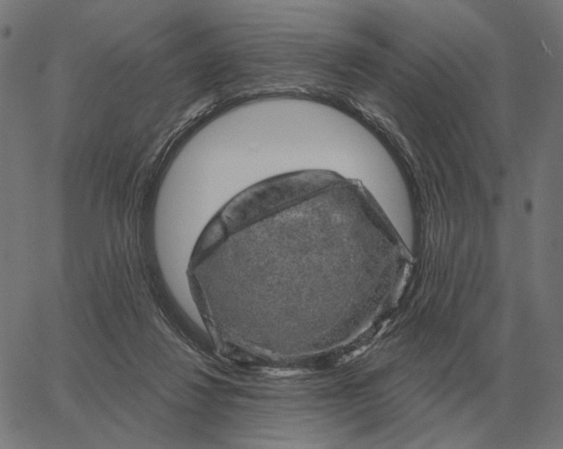 X0000065260260200603031836