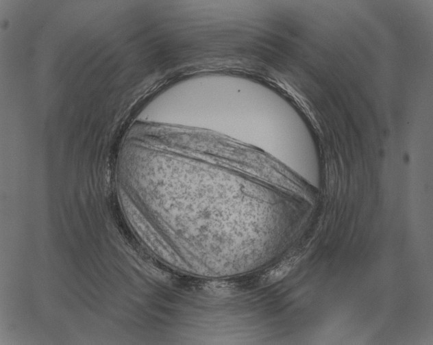 X0000065260261200603031836