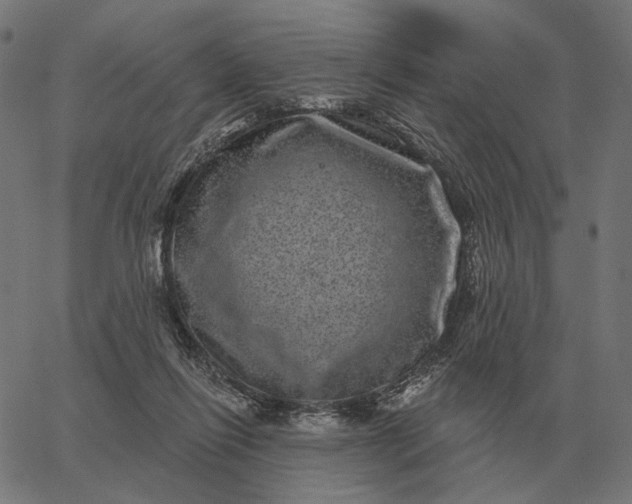 X0000065260262200603031836