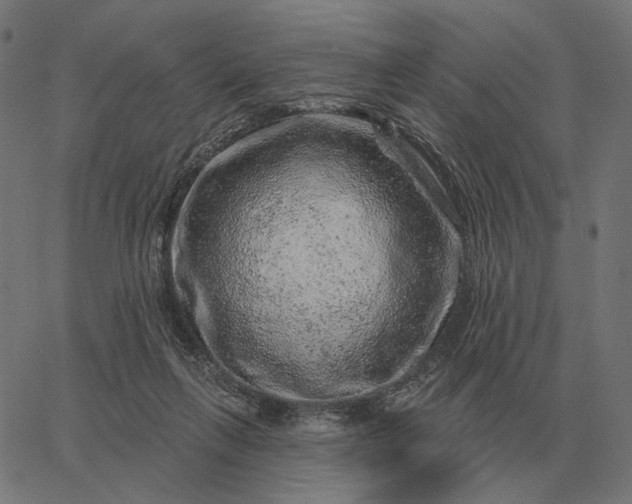 X0000065260263200603031836